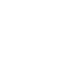 sl-ic-0031.png sl-ic-0031
