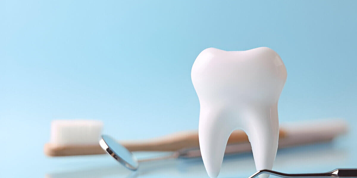 dental checkup dental checkup